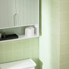 SoBuy BZR140-GR Armario de Pared para Baño Verde 60 x 15 x 54 cm