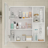 SoBuy BZR239-E-W Armario con Espejo para Baño Blanco con Luz LED Táctil 60x15.5x60 cm