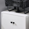 SoBuy BZR98-W Mueble para Debajo del Lavabo Blanco 60 x 35 x 60 cm