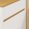 SoBuy FSB112-WN Mueble para Basura y Reciclaje con Pedal Blanco 35x25x101.7 cm