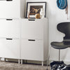 SoBuy FSR151-W Zapatero Estrecho con 2 Solapas Blanco 50 x 19 x 91 cm