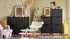SoBuy FSR177-SCH Zapatero Estrecho con 2 Solapas Negro 50 x 19 x 90cm