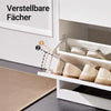 SoBuy FSR180-W Zapatero con 2 Solapas y 1 Cajon Blanco 60x30x90 cm