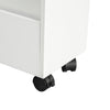 SoBuy BZR46-W Carrito estrecho con 3 Estantes Blanco