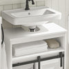 SoBuy BZR61-WMueble para debajo del Lavabo con 3 Estante y 1 Puerta