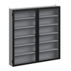 SoBuy FSB113-H-DG Armario de Pared Colgante Estrecho con Puertas de Cristal Gris 80x12.2x80 cm