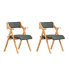 SoBuy FST98-SGx2 Set de 2 Sillas plegables Sillon más grande y ancha con Cojín Gris Oscuro